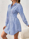 Stripped Blue Buttoned Dress